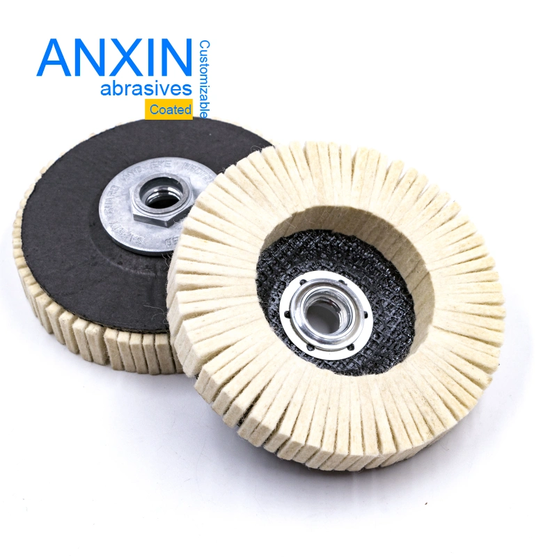 Wool Felt Ring Type or Flap Type Disc for Polishing Ss Inox