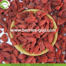 Factory Supply Nutrition Αποξηραμένα ακατέργαστα οργανικά Goji