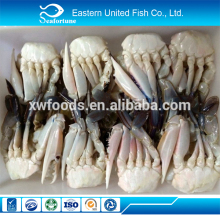 seafood export frozen cut swimming crab seafood