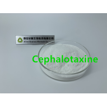 Cephalotaxinpulver CAS 24316-19-6 Anti-Krebs