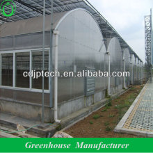multi span dome polycarbonate sheet greenhouse