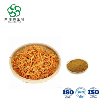 Natural Adenosine Cordyceps Militaris Extract Powder