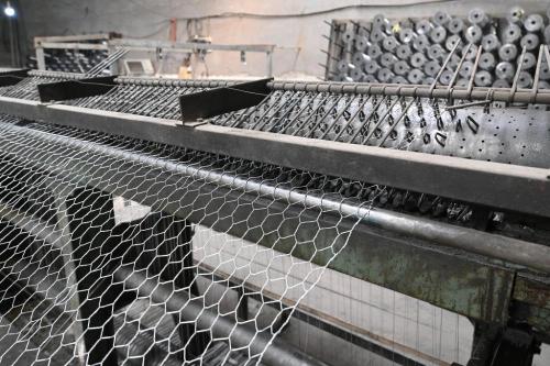 BWG18 Galvanized Iron Hex Hex Mesh