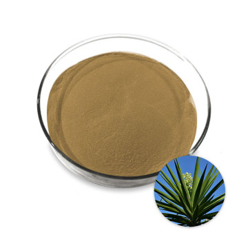 Yucca extract powder yucca extract