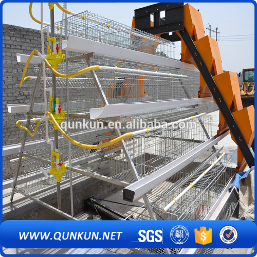 High quality broiler chicken cage iso approved automatic bird cages