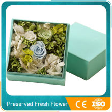 novelty preserved fresh flower for home decoration