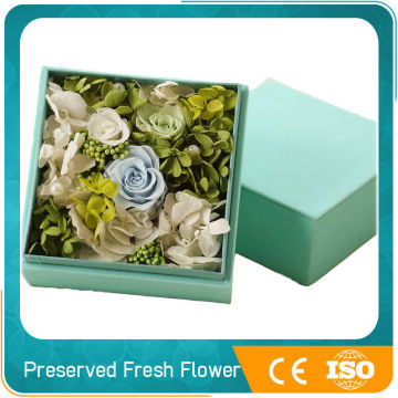 novelty preserved fresh flower for home decoration