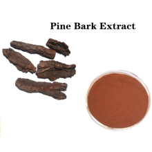 Buy online active ingredients Pine Bark Extract powder