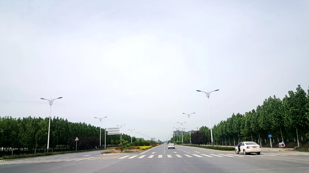 LED High-Efficiency Energy-Saving Municipal Street Lights Two-Arm Street Light