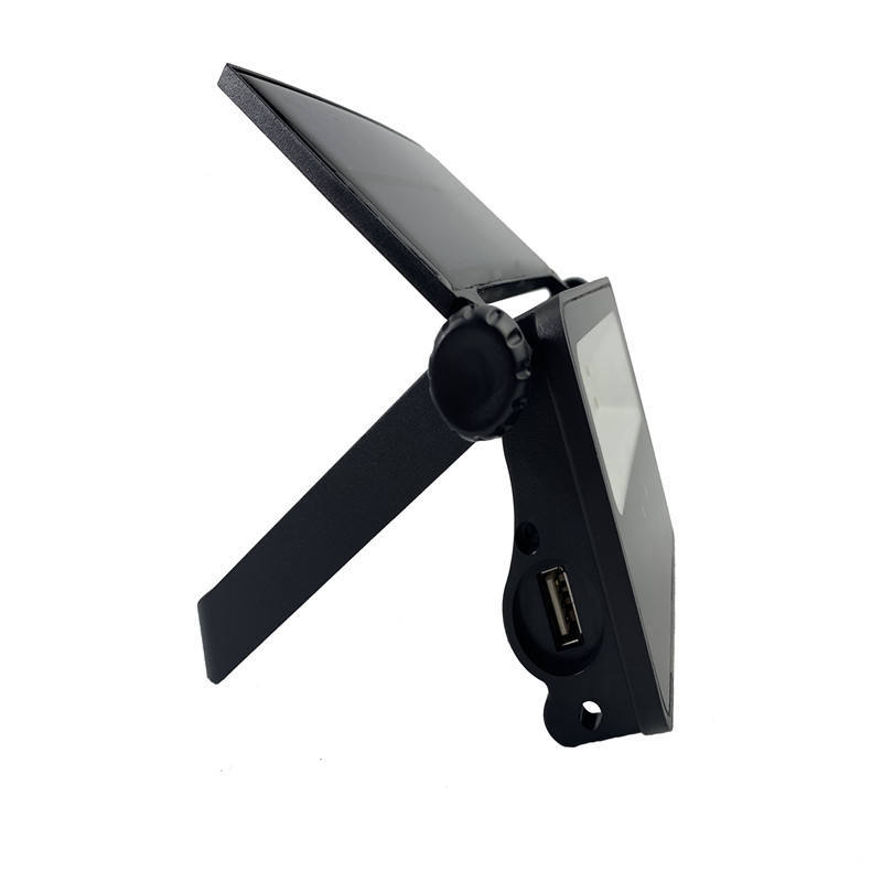 Outdoor Solar-Powered Flood Lamps
