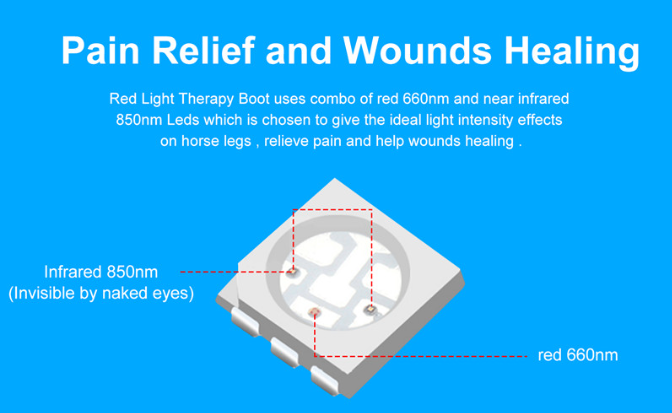 Red Infrared Light Therapy Horse Leg Wrap LED for Dogs and Horses