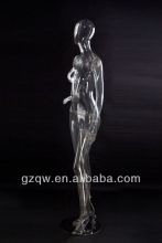 human body torso model on sale