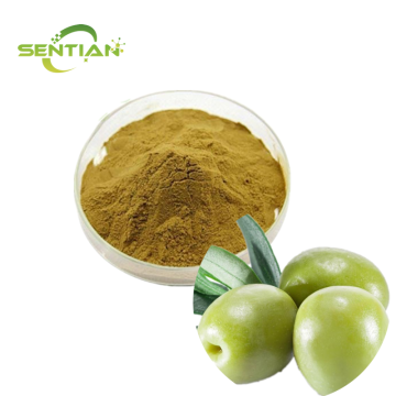 Oleuropein Olive Leaf Extract