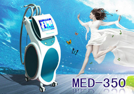 Vertical Cryolipolysis Vacuum  Led Machine , Fat Freezing Slimming With 2 Handpieces