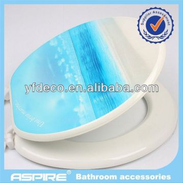 injection toilet seat cover mould