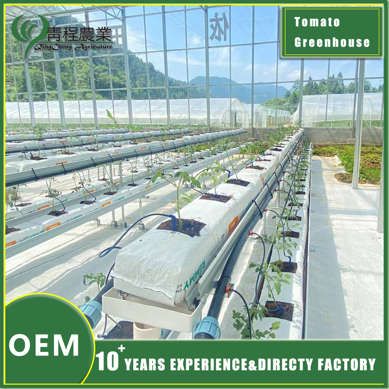 Invernadero de tomate de alto rendimiento High-Yield Tomato Greenhouse