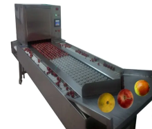 Plum Pitting Machine: Fruit Pitting and Core Removal