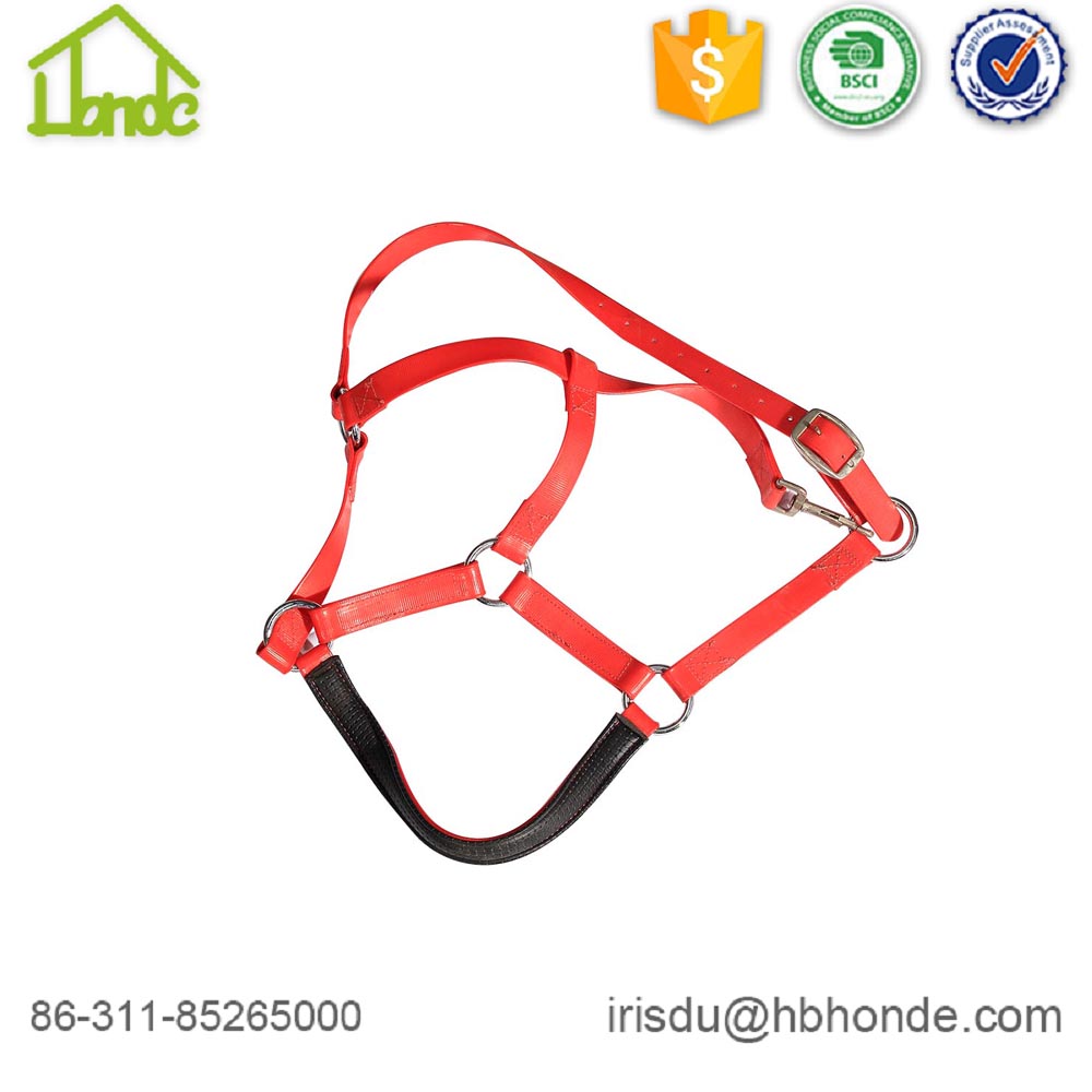 Soft Padded Adjustable Horse Head Collar Halter