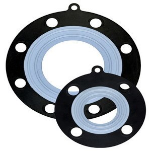 EPDM PTFE Gasket