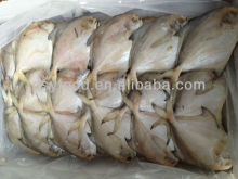 Frozen Silvery Pomfret Fish