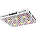 COB LED Grow Lights For Indoor Plant Growing