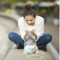 Pantie sanitario para perros con suspender