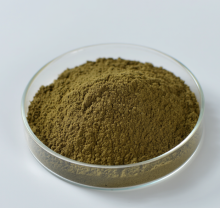 Bulk Olive Leaf Extract 20% Oleuropein