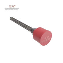 Customized SS316 Immersion Screw Plug Heater with Control - 2 Inches, 1kW