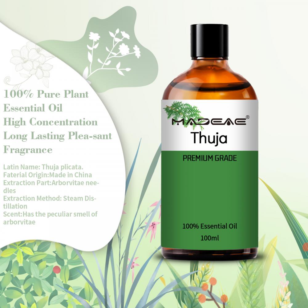 Óleo essencial de Thuja 100%puro para cuidados com a pele nutritiva de aromaterapia