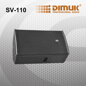 10 Inch Commecial Professinal Speaker (Sv-110)