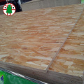 High Mositure Resistance Poplar Material OSB2