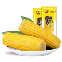 Corn On The Cob Sweet Corn