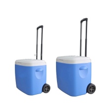 Trolly Cooler Box With Wheels