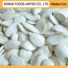 Unroasted and Unsalted Snow Pumpkin Seed