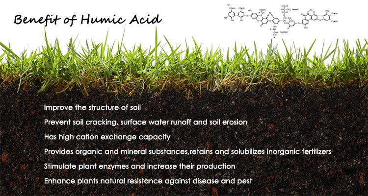 X-Humate Plant Fertilizer Humic Acid Liquid