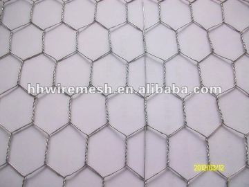 Hex. Wire Netting