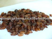 Dried Raisin