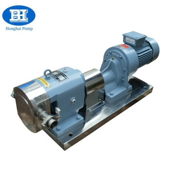 Stainless steel sanitary rotary lobe pump