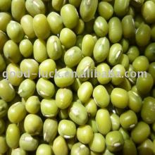 Mung beans
