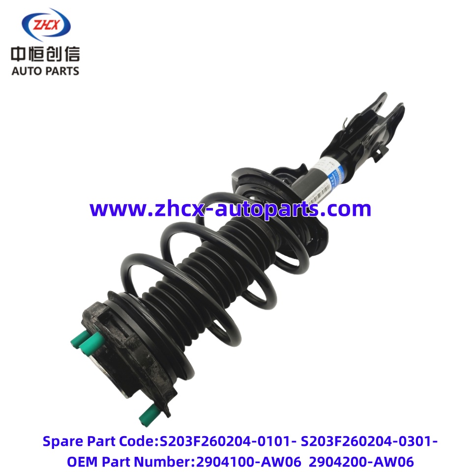 Ansamblu amortizor din față Front shock absorber assembly