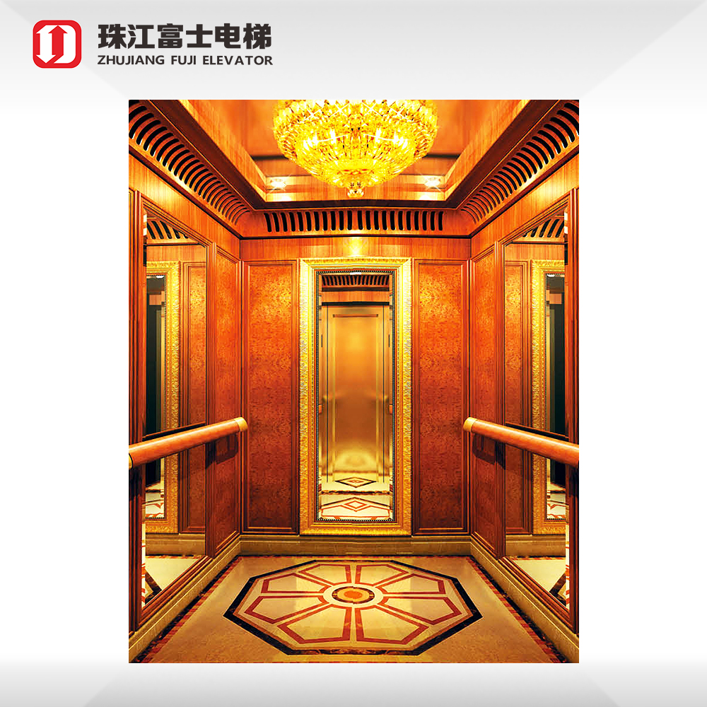 ZhuJiangFuJi Titanium Plating 8 passenger elevator price Passenger Elevator For Sale