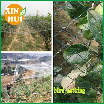 100% virgin HDPE plastic ant-bird netting