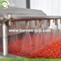 Top Grade Beslenme Kurutulmuş Bio Wolfberries