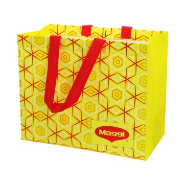 Non-Woven Garment Bag