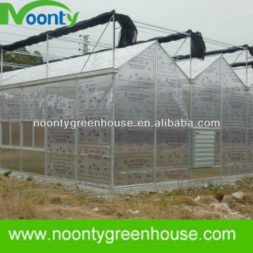 Multi span Greenhouse