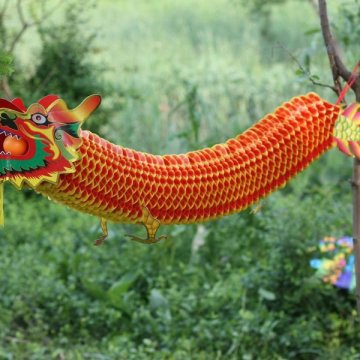 chinese dragon , new year decoration