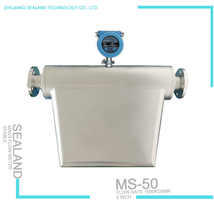 Mass Flow Meter 150