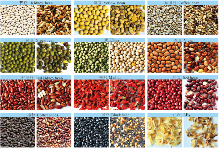 Beans Color Sorter
