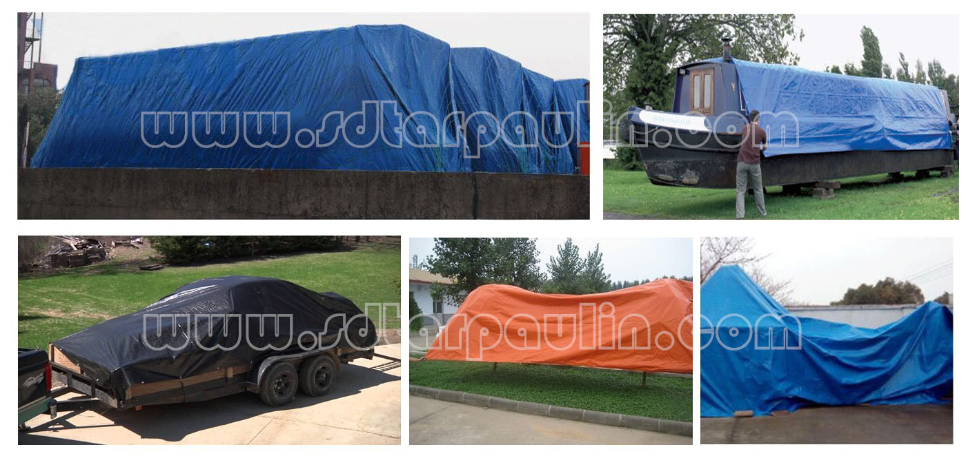Aplicación de Tarp Tarp Appilication