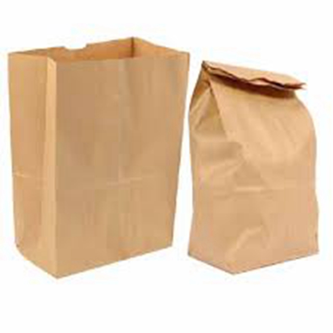 kraft take away bags 